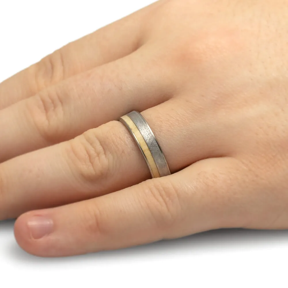 Aspen Wood Ring with Meteorite, Titanium Men's Wedding Band