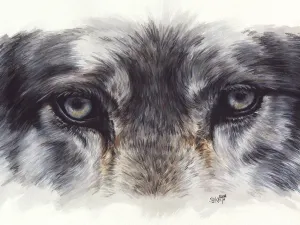 Eye-Catching Wolf