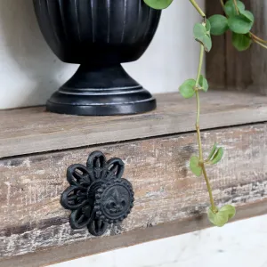 Fleur de Lis Knob