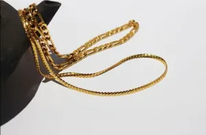 Hailey Herringbone Chocker Necklace, Gold Plated Snake Chain | Minimalist Chic