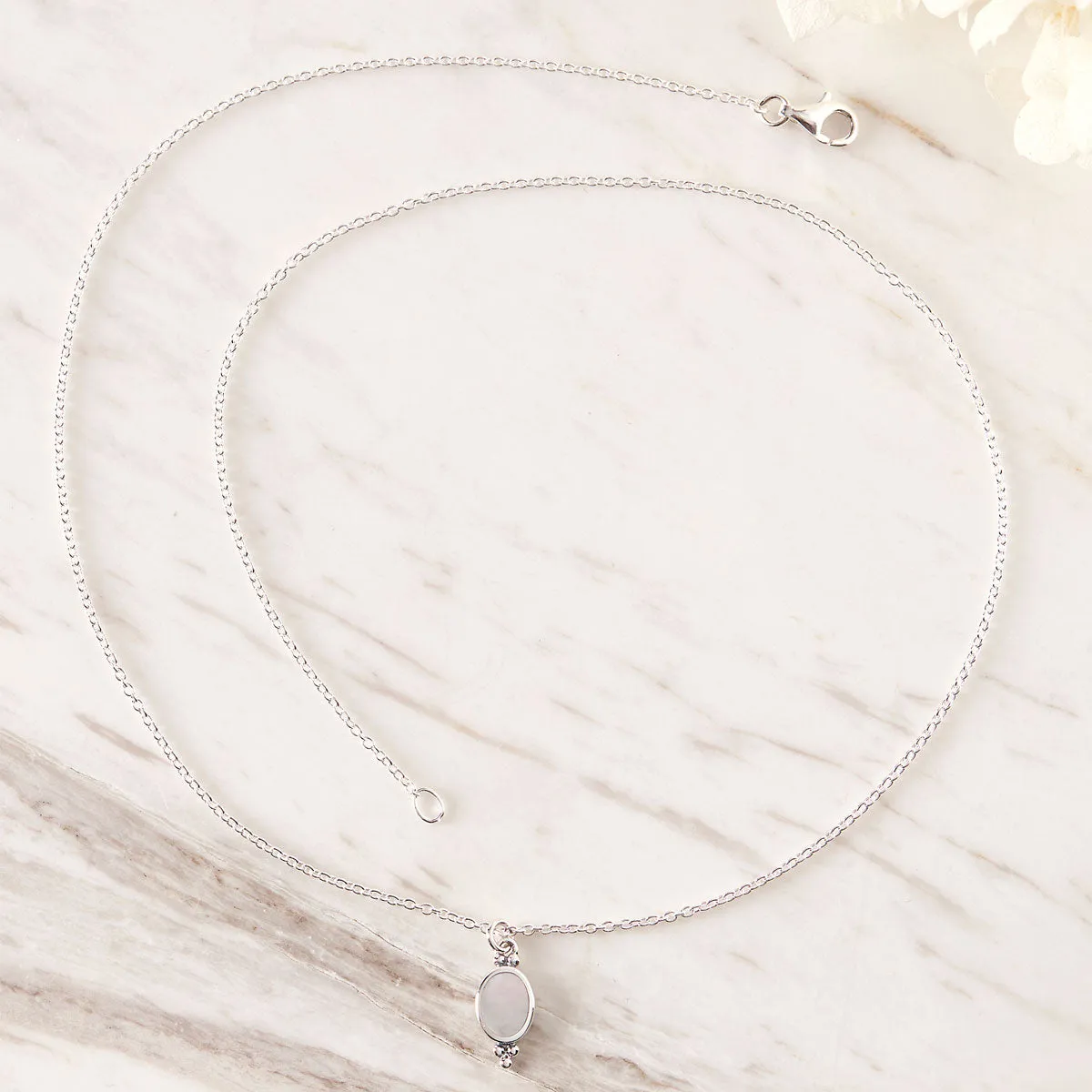 Moon Song Shell Necklace