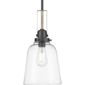 P500329-143 1-100W MED Pendant