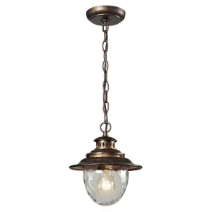 Searsport 1-Light Outdoor Pendant