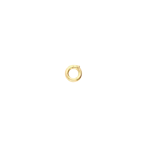 Solid Gold Clasp