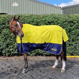 Whitaker Hornsea Turnout Rug 0 Gm Yellow - OFFER